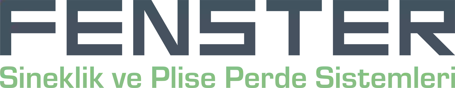 Fenster Systems