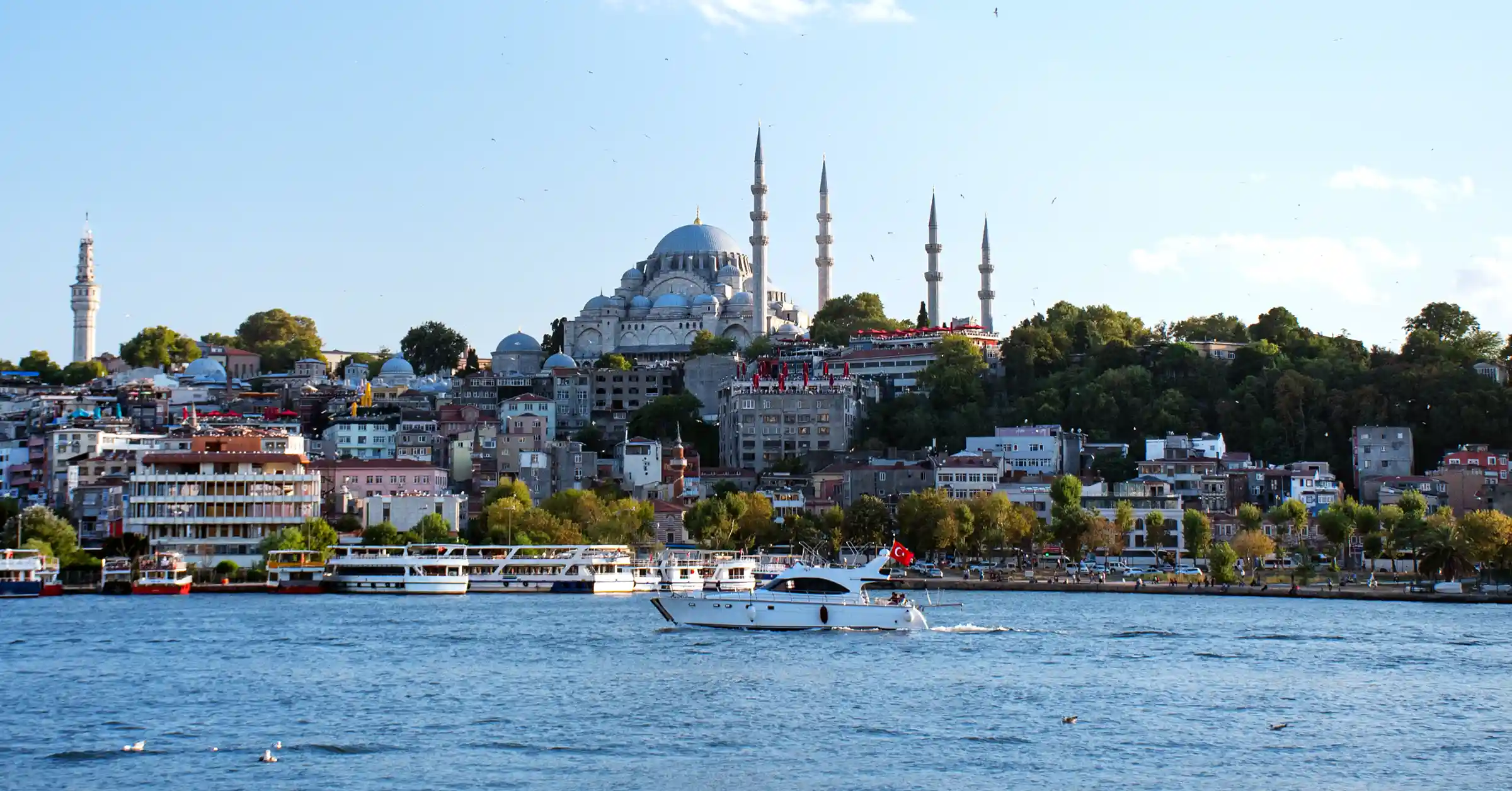 Türkiye - Fenster Systems - Sineklik ve Plise Perde Sistemleri